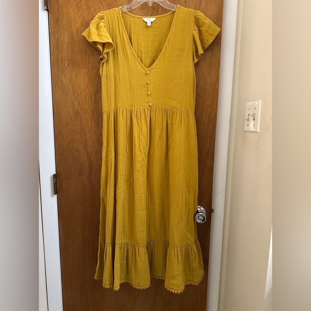 Time and Tru Mustard Dress